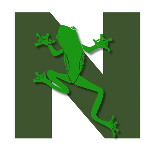 Northbeam Collective
